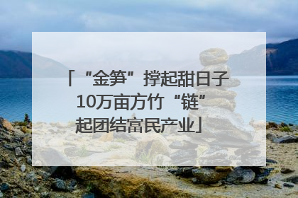 “金笋”撑起甜日子 10万亩方竹“链”起团结富民产业