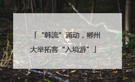 “韩流”涌动，郴州大举拓客“入境游”