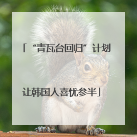 “青瓦台回归”计划让韩国人喜忧参半