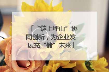 “链上坪山”协同创新，为企业发展充“储”未来