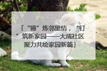 “锤”炼邻里情，“钉”筑新家园——大成社区聚力共绘家园新篇