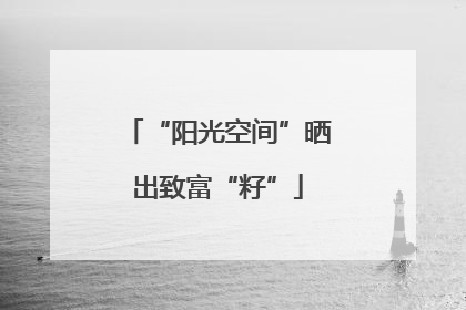 “阳光空间”晒出致富“籽”