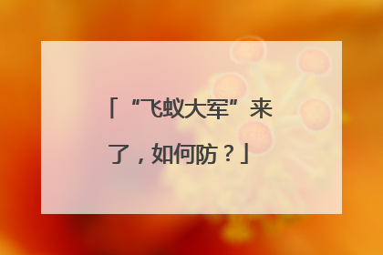 “飞蚁大军”来了，如何防？