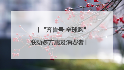 “齐鲁号·全球购”联动多方惠及消费者