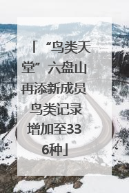 “鸟类天堂”六盘山再添新成员 鸟类记录增加至336种