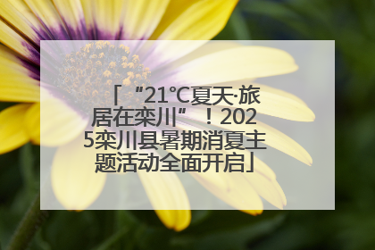 “21℃夏天·旅居在栾川”！2025栾川县暑期消夏主题活动全面开启