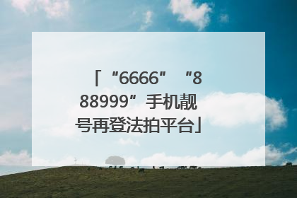 “6666”“888999”手机靓号再登法拍平台