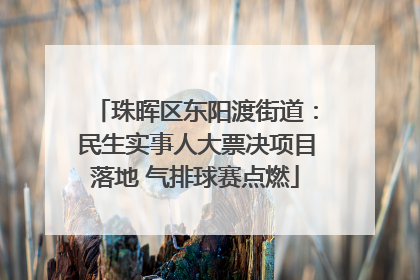 珠晖区东阳渡街道：民生实事人大票决项目落地 气排球赛点燃