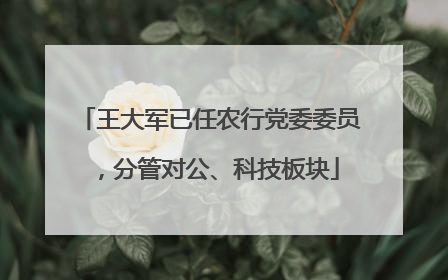 王大军已任农行党委委员，分管对公、科技板块