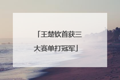 王楚钦首获三大赛单打冠军