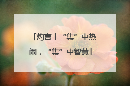 灼言丨“集”中热闹，“集”中智慧