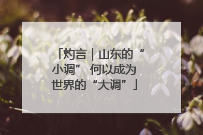 灼言｜山东的“小调” 何以成为世界的“大调”