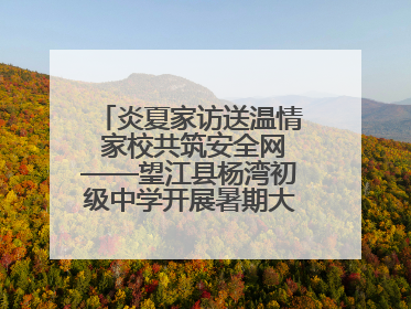 炎夏家访送温情 家校共筑安全网——望江县杨湾初级中学开展暑期大家访活动