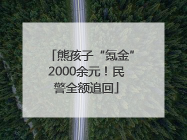 熊孩子“氪金”2000余元！民警全额追回