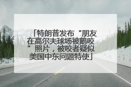 特朗普发布“朋友在高尔夫球场被鹅咬”照片，被咬者疑似美国中东问题特使