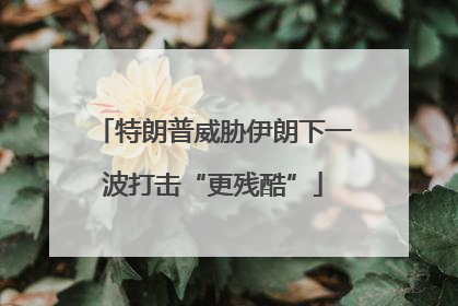 特朗普威胁伊朗下一波打击“更残酷”