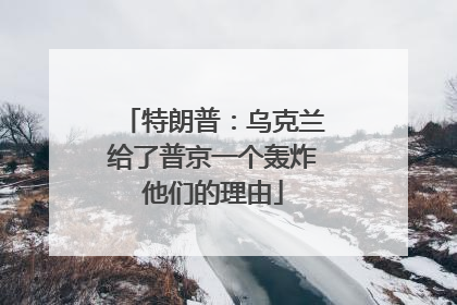 特朗普：乌克兰给了普京一个轰炸他们的理由