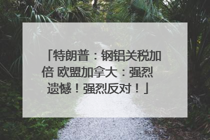 特朗普：钢铝关税加倍 欧盟加拿大：强烈遗憾！强烈反对！
