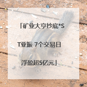 矿业大亨抄底*ST亚振 7个交易日浮盈超5亿元