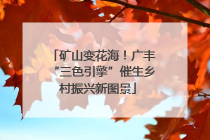 矿山变花海！广丰“三色引擎”催生乡村振兴新图景