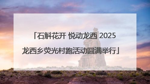 石斛花开 悦动龙西 2025龙西乡荧光村跑活动圆满举行