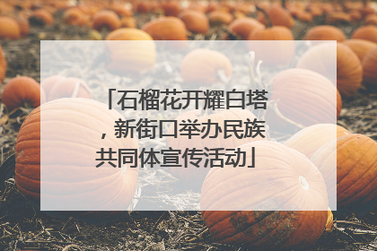 石榴花开耀白塔，新街口举办民族共同体宣传活动
