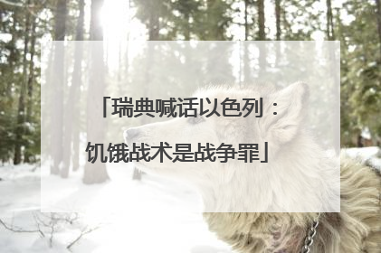 瑞典喊话以色列：饥饿战术是战争罪