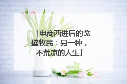 电商西进后的戈壁牧民：另一种，不荒凉的人生