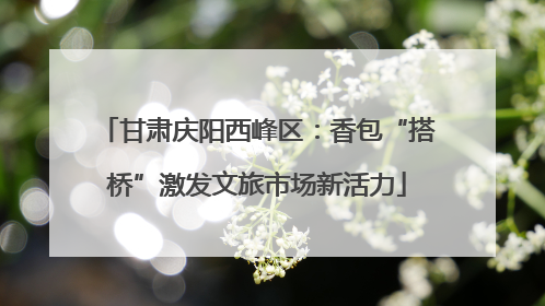 甘肃庆阳西峰区：香包“搭桥”激发文旅市场新活力