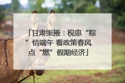 甘肃张掖：税惠“粽”情端午 看政策春风点“燃”假期经济