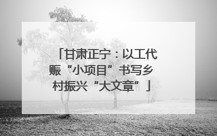 甘肃正宁：以工代赈“小项目”书写乡村振兴“大文章”