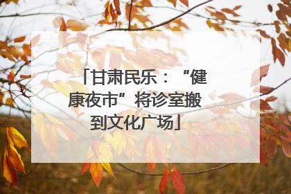 甘肃民乐：“健康夜市”将诊室搬到文化广场