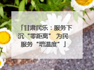 甘肃民乐：服务下沉“零距离” 为民服务“增温度”