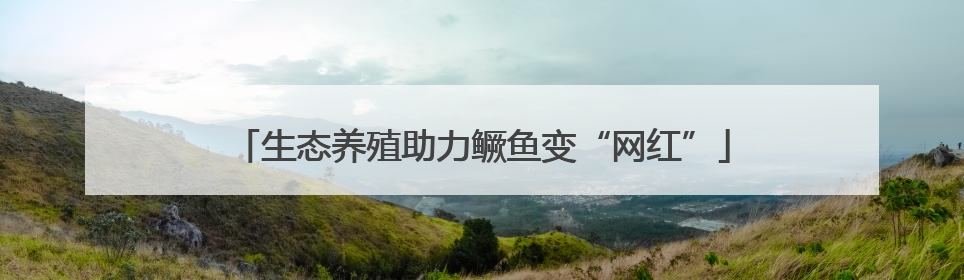生态养殖助力鳜鱼变“网红”