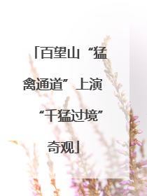 百望山“猛禽通道”上演“千猛过境”奇观