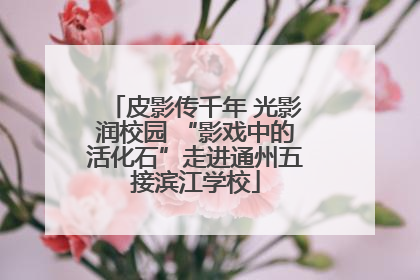 皮影传千年 光影润校园 “影戏中的活化石”走进通州五接滨江学校