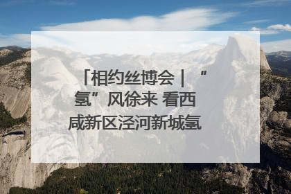 相约丝博会｜“氢”风徐来 看西咸新区泾河新城氢能产业聚链成势