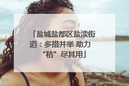 盐城盐都区盐渎街道：多措并举 助力“秸”尽其用