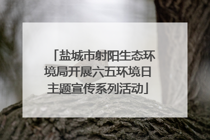 盐城市射阳生态环境局开展六五环境日主题宣传系列活动