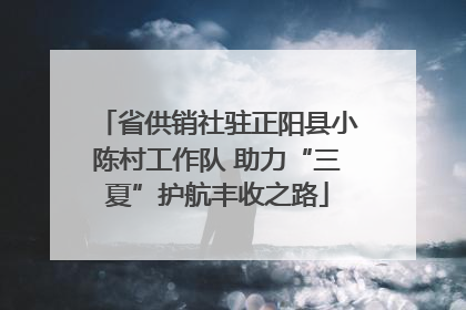 省供销社驻正阳县小陈村工作队 助力“三夏”护航丰收之路