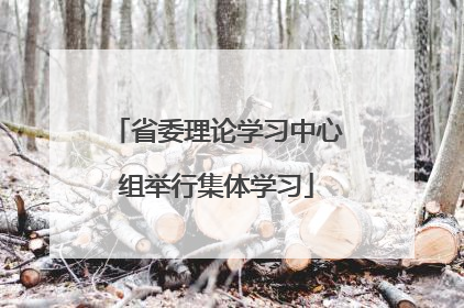 省委理论学习中心组举行集体学习