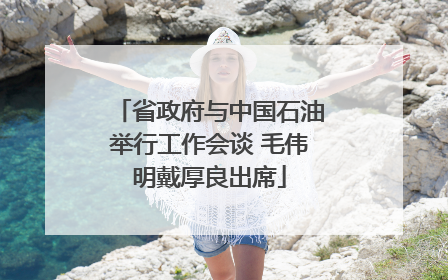 省政府与中国石油举行工作会谈 毛伟明戴厚良出席