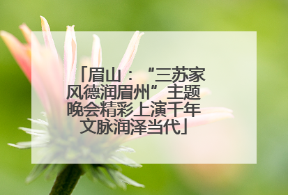 眉山：“三苏家风德润眉州”主题晚会精彩上演千年文脉润泽当代