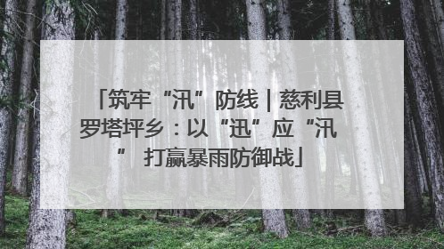 筑牢“汛”防线｜慈利县罗塔坪乡：以“迅”应“汛” 打赢暴雨防御战