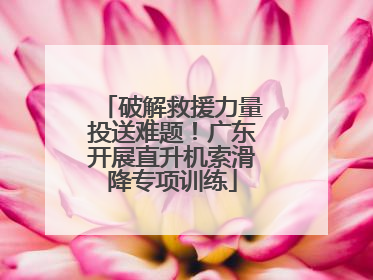 破解救援力量投送难题！广东开展直升机索滑降专项训练