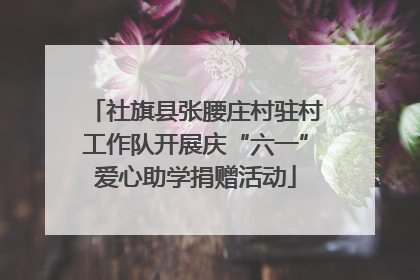 社旗县张腰庄村驻村工作队开展庆“六一”爱心助学捐赠活动