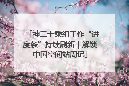 神二十乘组工作“进度条”持续刷新｜解锁中国空间站周记