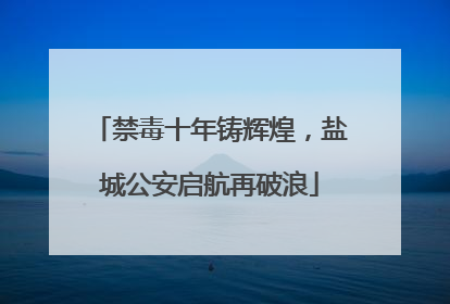 禁毒十年铸辉煌，盐城公安启航再破浪