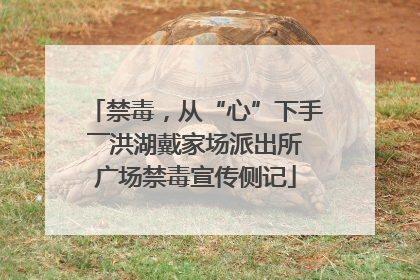 禁毒，从“心”下手――洪湖戴家场派出所广场禁毒宣传侧记