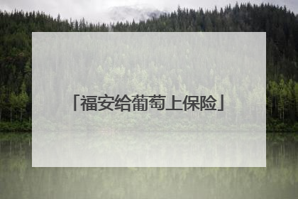 福安给葡萄上保险